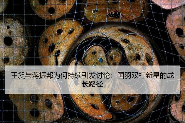 wang-chang-yu-jiang-zhen-bang-wei-he-chi-xu-yin-fa-tao-lun-guo-yu-shuang-da-xin-xing-de-cheng-zhang-lu-jing-2-208.jpg